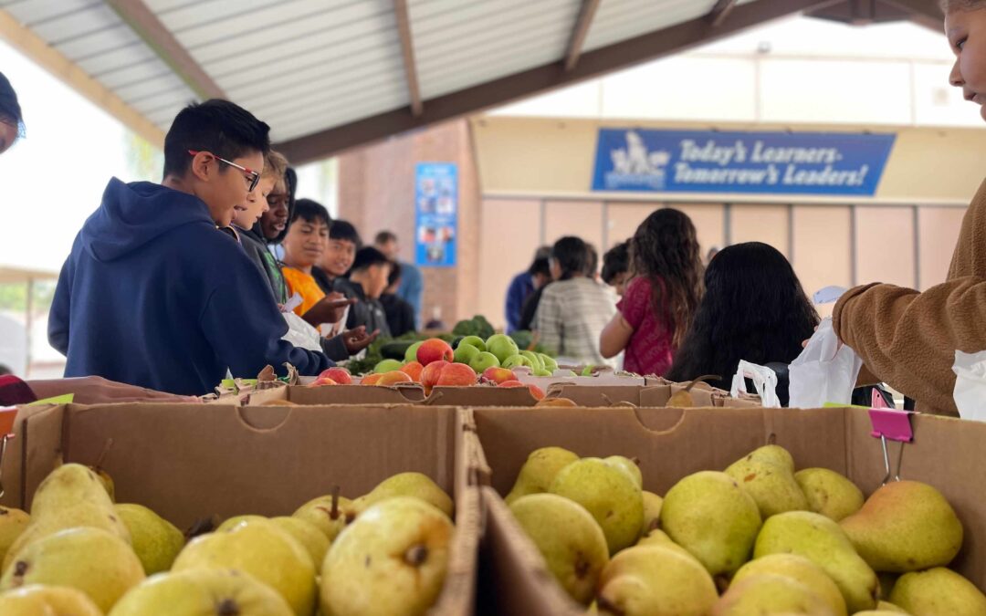 FUESD’s Farmers Market Promotes Healthy Choices, Financial Literacy, and Hands-On Learning for Students